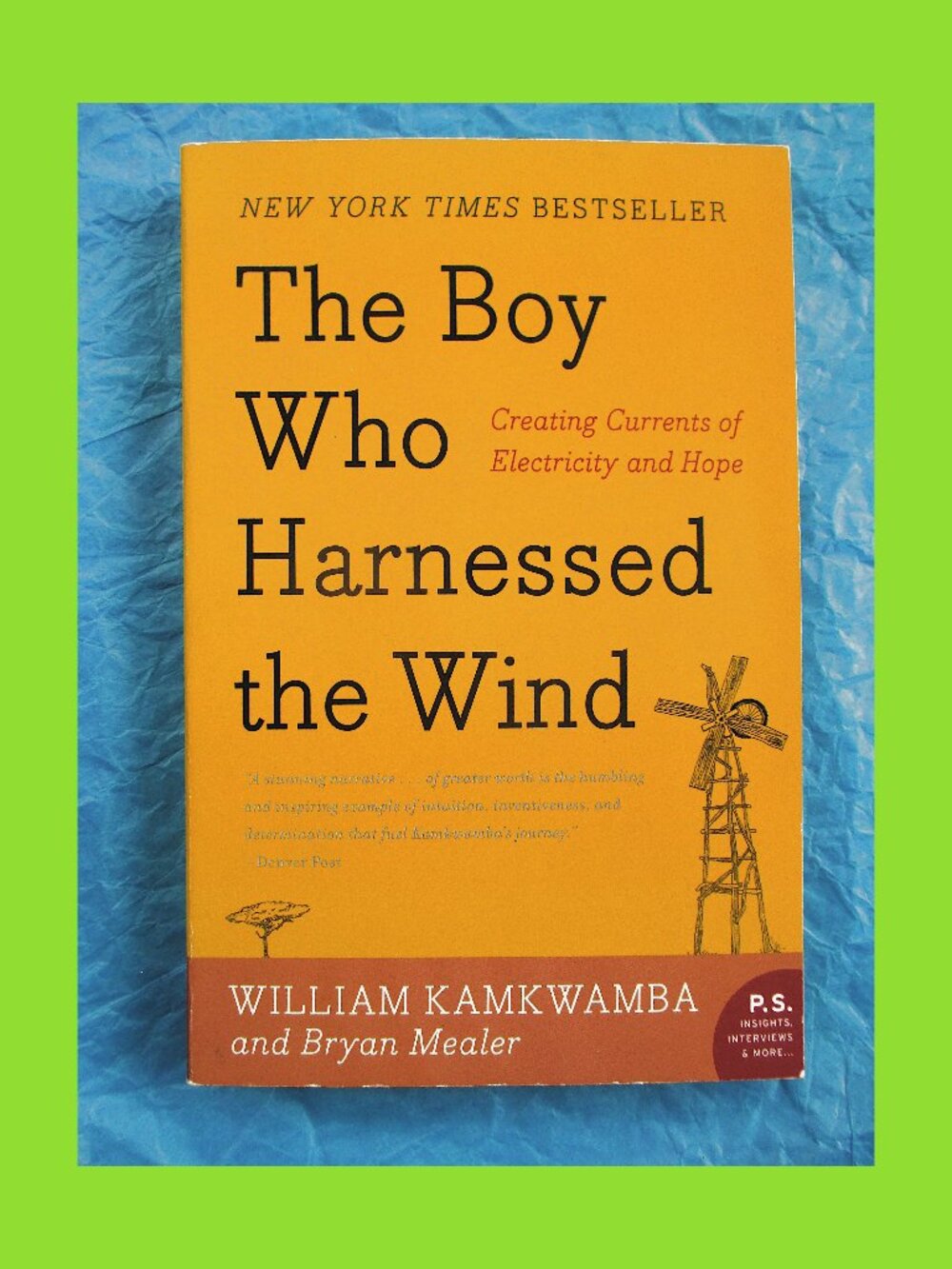 Book: The Boy Who Harnessed the Wind: Creating Currnets of Electricity and Hope
